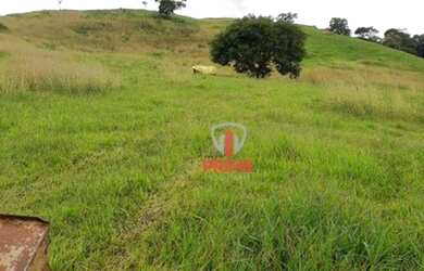 Imagem 2: Fazenda à venda 58 Alqueires por R$ 8.700.000 - Rural - Rio Bom/Paraná