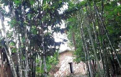 Imagem 2: Casa. Imóvel novo, 1 Banheiroe2 Dormitórios