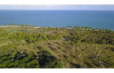 Imagem 6: Terreno Rural / Coqueiros