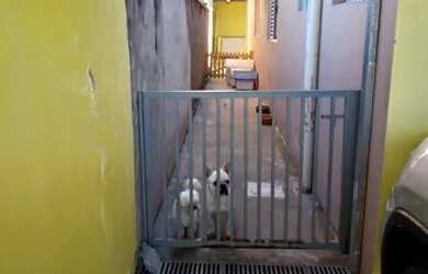 Imagem 11: Casa para aluguel. Churrasqueira, 180m² de Área, 2 Vagas na garageme3...