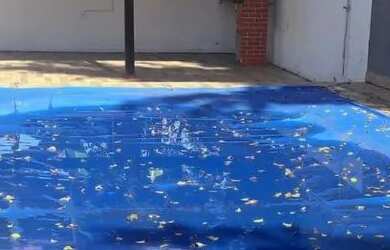 Imagem 6: Casa com Piscina em Itaipuaçu