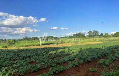 Imagem 8: área - Betel - Paulínia