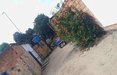 Imagem 2: Casa no tarumã. 240m² de Área, 4 Vagas na garageme2 Dormitórios