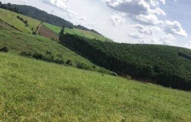 Imagem: O terreno possui 1000m² de Área e está localizado em Jardim