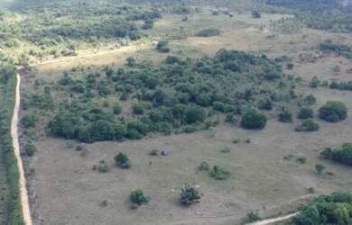 Imagem 6: Chácara com 2 dormitórios à venda, 20000 m² por R$ 300.000 - Cumuruxatiba...