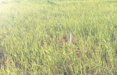 Imagem 3: Terreno. 180m² de Área