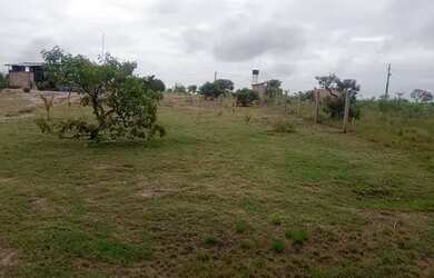 Imagem: A chácara está localizado em Alto Alegre, RR à venda por