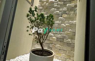 Imagem 14: Ponte Alta, espetacular! 3 suítes