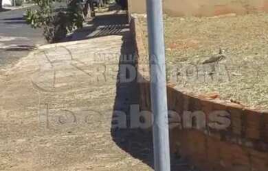 Imagem: O terreno possui 470m² de Área, Imóvel novo e está localizado