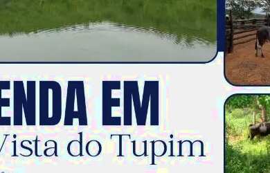 Imagem: A fazenda está localizado em Boa Vista do Tupim, BA à venda