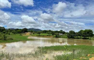 Imagem: A fazenda possui 37m² de Área e está localizado em Goiás