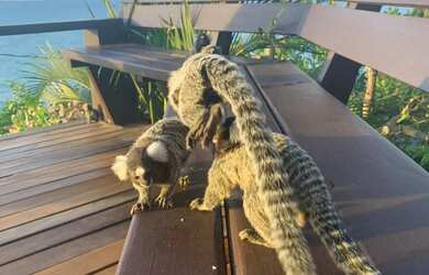 Imagem 9: Casa ao lado do Mirante Sunset, a melhor vista de Pipa! Aceita aluguel dia