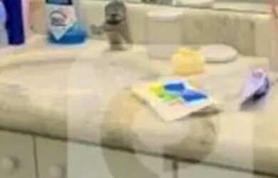 Imagem 12: Apartamento reformado com vista livre para o mar na Barrinha Barra da...