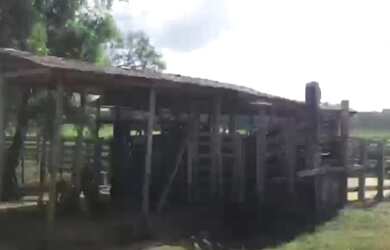 Imagem 11: Porteira fechada 400 hectares no Pará pronta por R$ 3.6 milhões