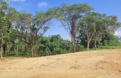 Imagem 3: Terreno à venda, 365 m² por R$ 190.000,00 - Itacolomi - Balneário Piçarras/SC