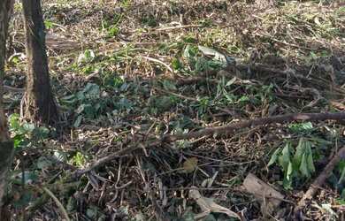 Imagem: O terreno possui 503m² de Área e está localizado em Praia