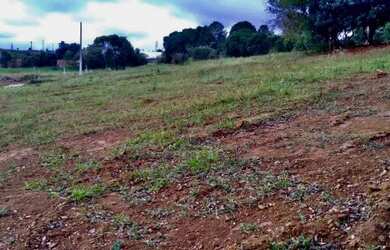 Imagem 1: Lote/Terreno para venda tem 600 metros quadrados em Centro São João...