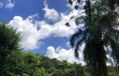 Imagem 6: Alugo Casa Chácara Piscina Área Verde 1.100 m2