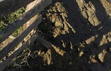 Imagem: A chácara possui 100000m² de Área e está localizado em Estradinha