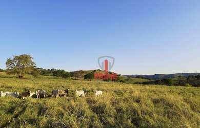 Imagem 1: Fazenda à venda 58 Alqueires por R$ 8.700.000 - Rural - Rio Bom/Paraná