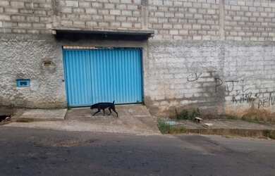Imagem: A casa possui 4 Dormitórios, 1 Banheiro, 5 Vagas na garagem