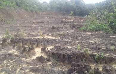 Imagem: O terreno está localizado em Cidade Nova, Manaus à venda por