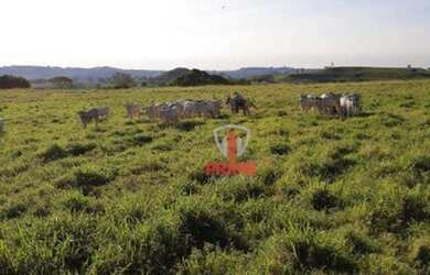 Imagem 9: Fazenda à venda 58 Alqueires por R$ 8.700.000 - Rural - Rio Bom/Paraná