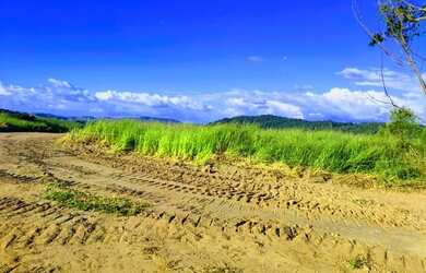 Imagem 10: 03a-1O88DU0. 500m² de Área