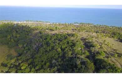 Imagem 13: Terreno Rural / Coqueiros