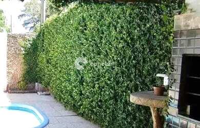 Imagem 9: Casa com piscina no Parque Pinheiro Machado