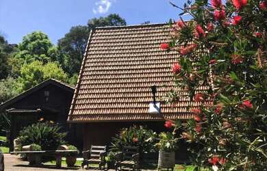 Imagem 5: Sítio - Bairro Carazal. 111.900m² de Área