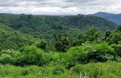 Imagem: O terreno possui 18.000m² de Área e está localizado em Nova