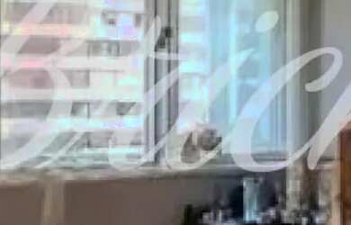 Imagem 4: APARTAMENTO VENDA BELA VISTA - 175M² - 1 SUITE E 2 VAGAS