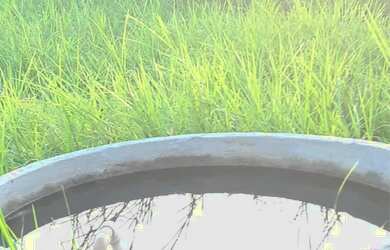 Imagem 7: Fazenda no Goiás. 