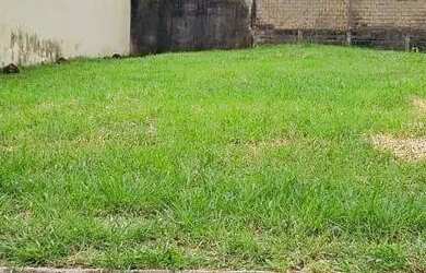 Imagem 7: TERRENO CITY RIBEIRÃO. 490m² de Área