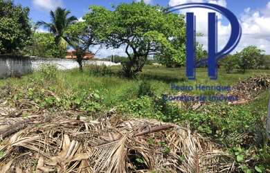 Imagem: O terreno possui 2.600m² de Área e está localizado em Lucena