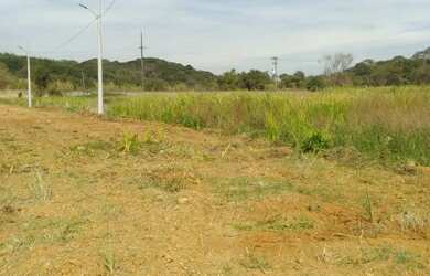 Imagem 15: Lote/Terreno para venda tem 600 metros quadrados em Centro São João...