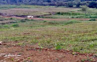 Imagem 7: Lote/Terreno para venda tem 600 metros quadrados em Centro São João...