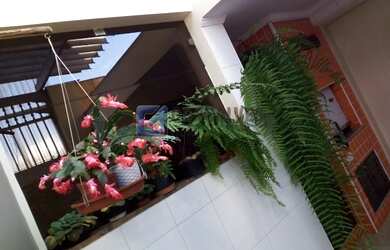 Imagem 14: SAO CAETANO DO SUL - Residential / Home - OSWALDO CRUZ