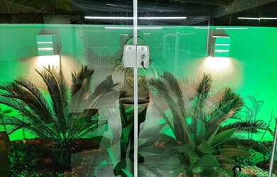 Imagem 12: Apartamento Alto Padrao no Alto do Ipiranga - Garden. quot Anúncio direto...