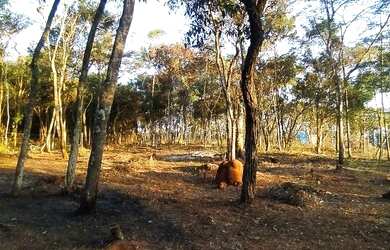 Imagem 2: Chácara Itatiaiuçu. 500m² de Área