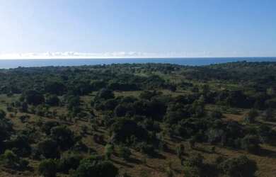 Imagem 7: Chácara com 2 dormitórios à venda, 20000 m² por R$ 300.000 - Cumuruxatiba...