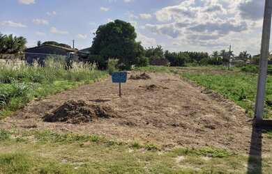Imagem: O terreno está localizado em Centro, Arapiraca à venda por