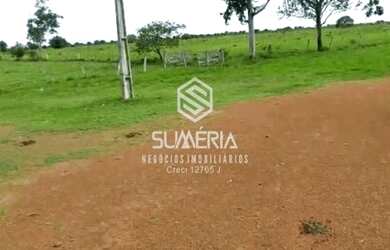 Imagem 6: Fazenda em São Felix do Araguaia com 83.346 hectares sendo 30 mil ha...