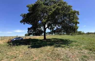 Imagem 9: Fazenda com cana próximo Uberlândia