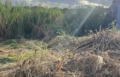 Imagem: O terreno possui 400m² de Área e está localizado em Vila