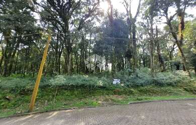 Imagem 8: Pinheiro Grosso - com projeto aprovado