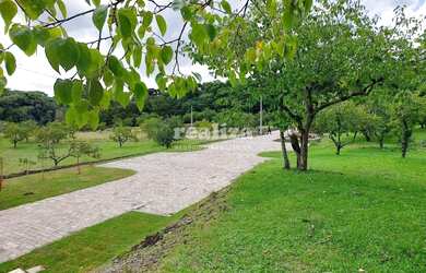 Imagem 3: TERRENO EM GRAMADO. 800m² de Área