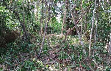 Imagem 11: Terreno para chácara. 58.888m² de Área