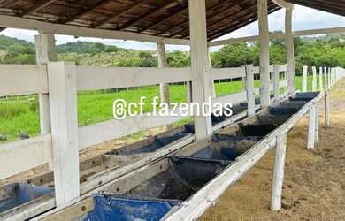 Imagem 5: Fazenda à venda em Goiás-Go